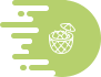 Subscription & Wholesale