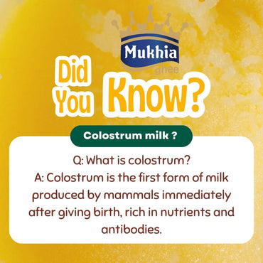 Mukhia Colostrum Cow Desi Ghee - Made by Traditional Bilona Process, Made from Colostrum Milk | India's First Colostrum Hand made ghee - pack of 1 Ltr Mukhia Colostrum