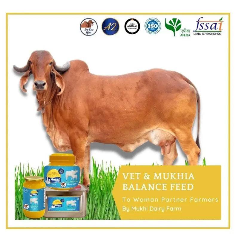 Quality certified of mukhia amrutam ghee