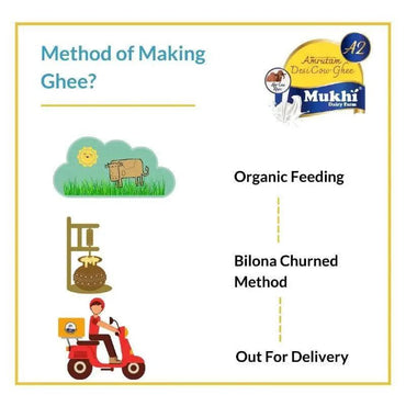 Amrutam ghee making by bilona