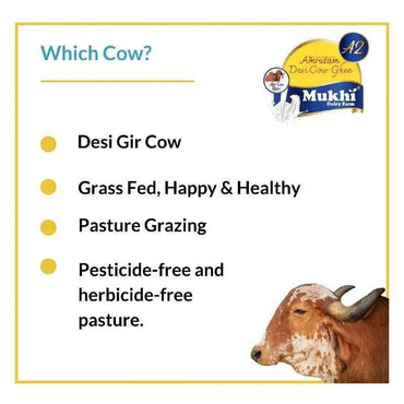 Amrutam ghee making from Gir cow ghee