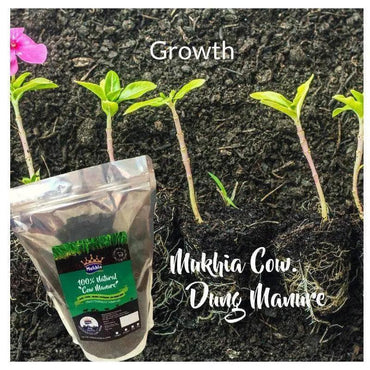 mukhia-all-purpose-cow-dung-manure-100-natural-organic-compost-plant-nutrient