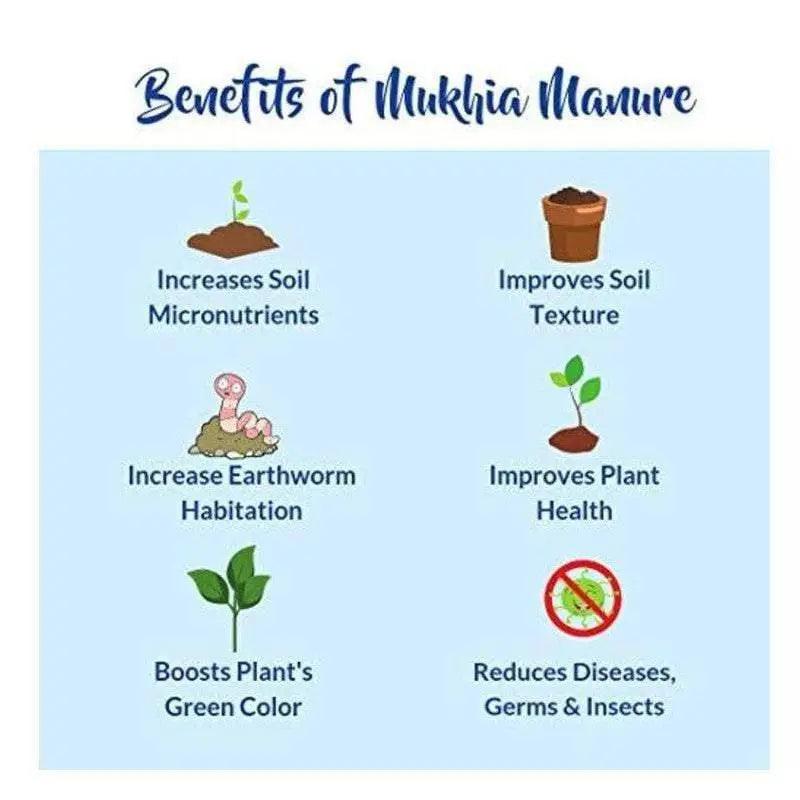 benefits of  mukhia-all-purpose-cow-dung-manure-100-natural-organic-compost-plant-nutrient