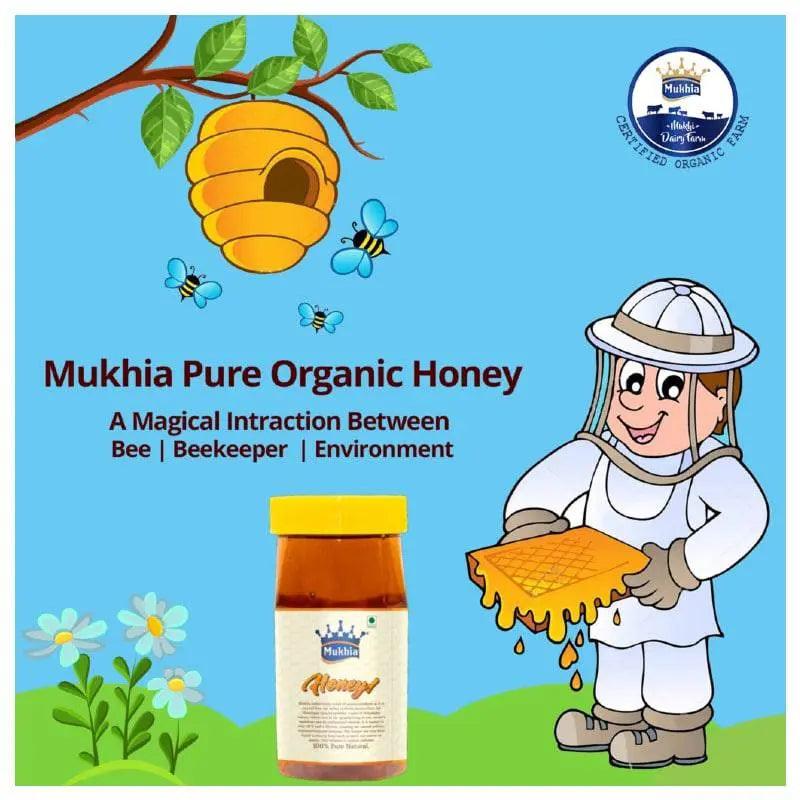 Mukhia Honey Pack of 2 + Mukhia Ghee 500ml Pack of 2+ Mukhwas Ajma Shahi Pack of 2 with free Honey Stick - Mukhi Dairy Farm