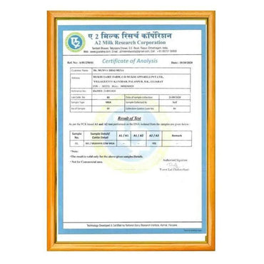Mukhia Organic A2 Cow Ghee 2 Liter - Mukhi Dairy Farm
