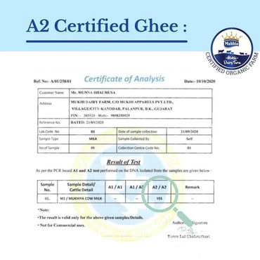 Mukhia Organic A2 Cow Ghee 250ml - Mukhi Dairy Farm