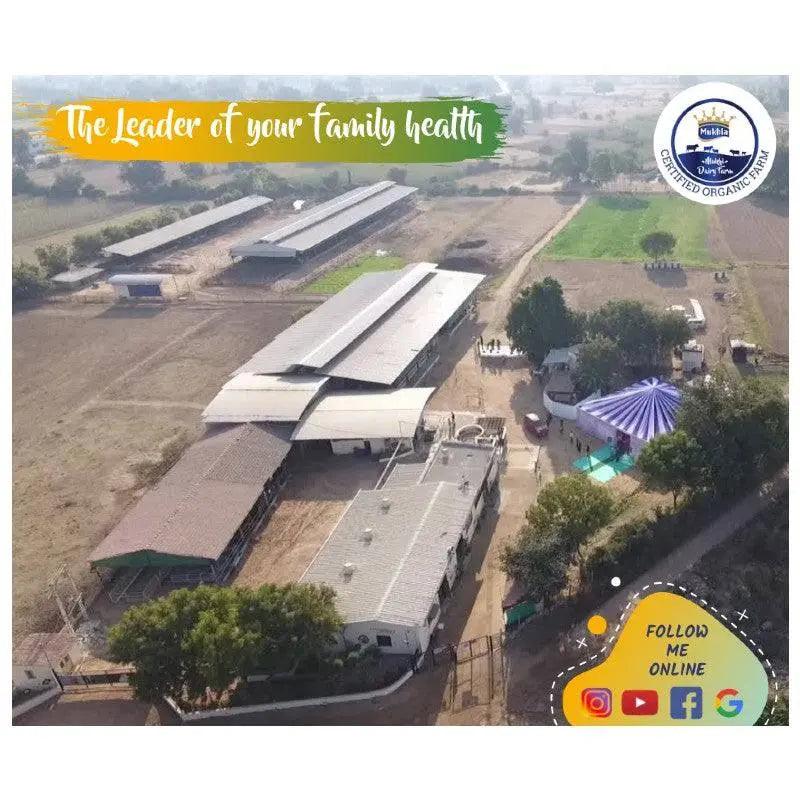 Mukhia Sweet Shahi Paan - No Supari - Mukhi Dairy Farm